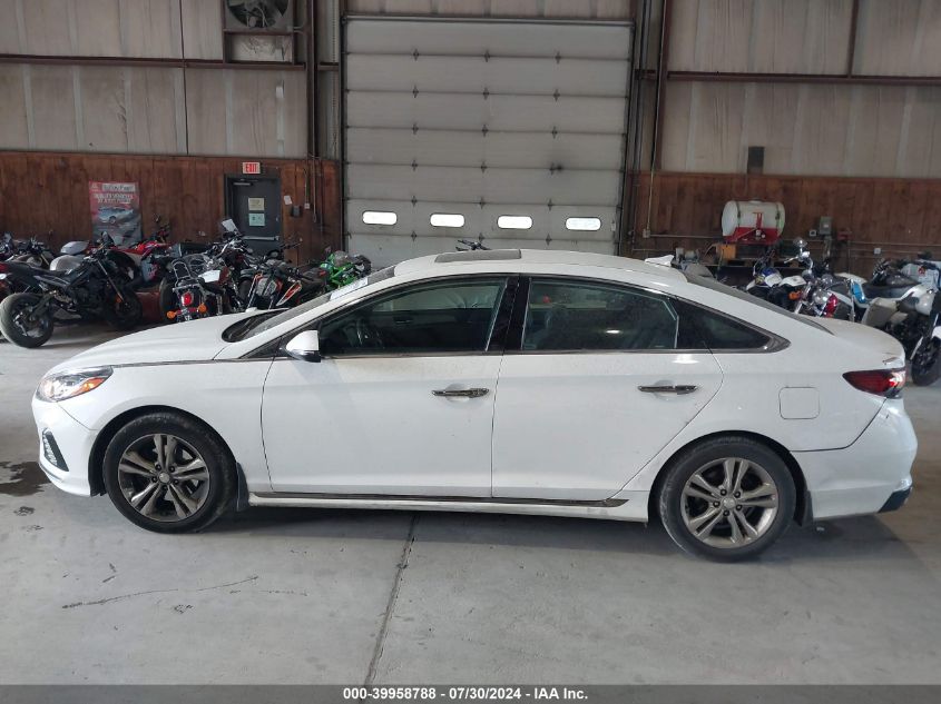 2019 Hyundai Sonata Sport VIN: 5NPE34AF3KH811031 Lot: 39958788