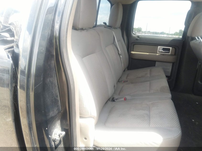 2010 Ford F-150 Xlt VIN: 1FTEW1E85AFC12478 Lot: 39959065