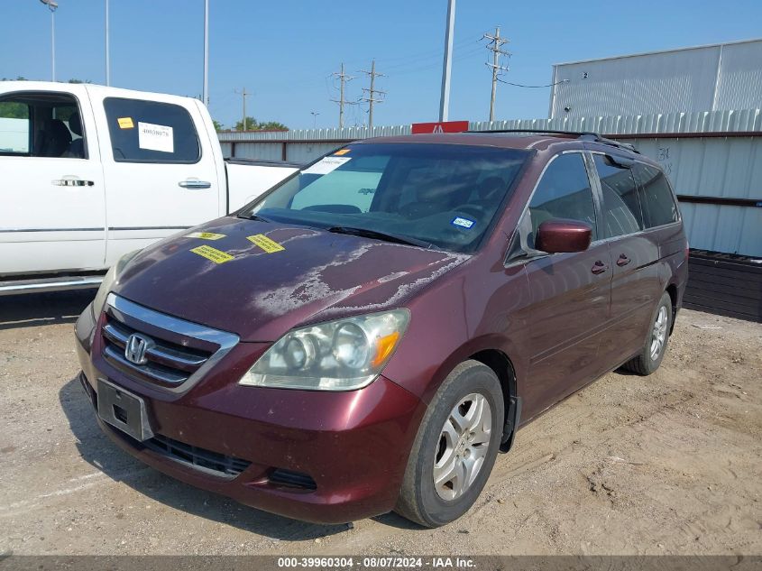 2007 Honda Odyssey Ex-L VIN: 5FNRL38737B067592 Lot: 39960304