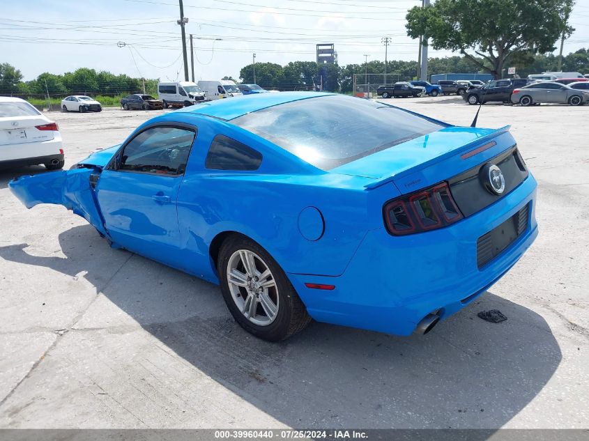 1ZVBP8AM0D5223052 | 2013 FORD MUSTANG