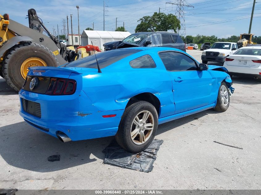 1ZVBP8AM0D5223052 | 2013 FORD MUSTANG