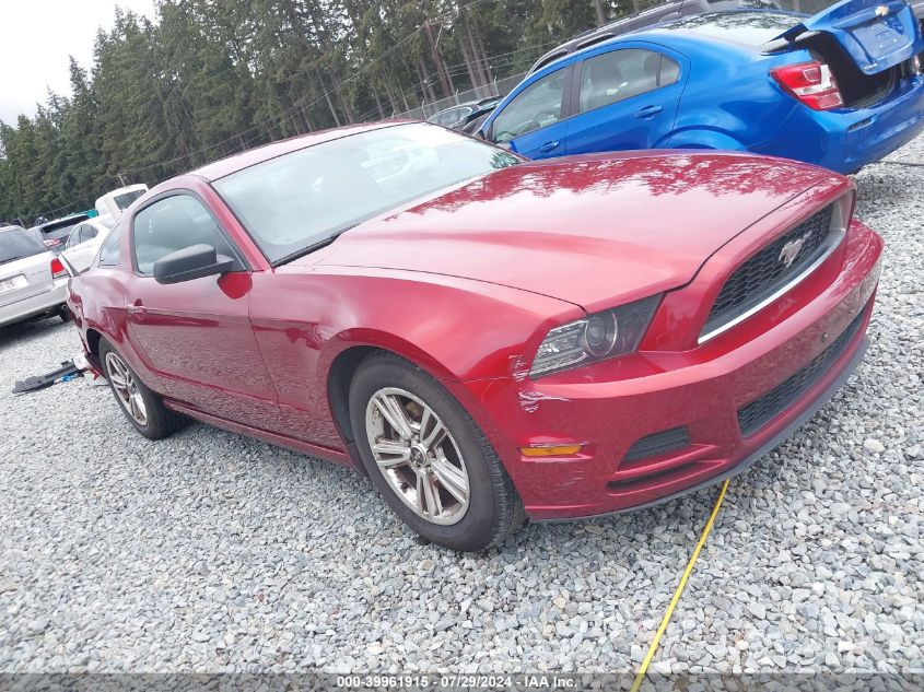 2014 FORD MUSTANG V6 - 1ZVBP8AM3E5310039