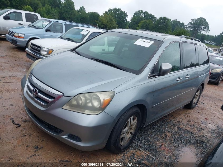 2005 Honda Odyssey Ex-L VIN: 5FNRL38605B059745 Lot: 39962136