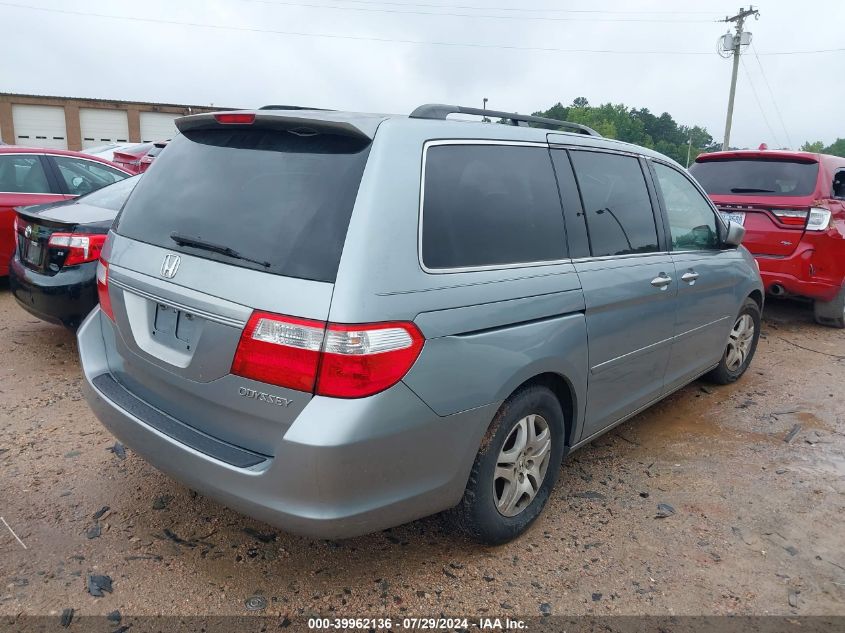 2005 Honda Odyssey Ex-L VIN: 5FNRL38605B059745 Lot: 39962136