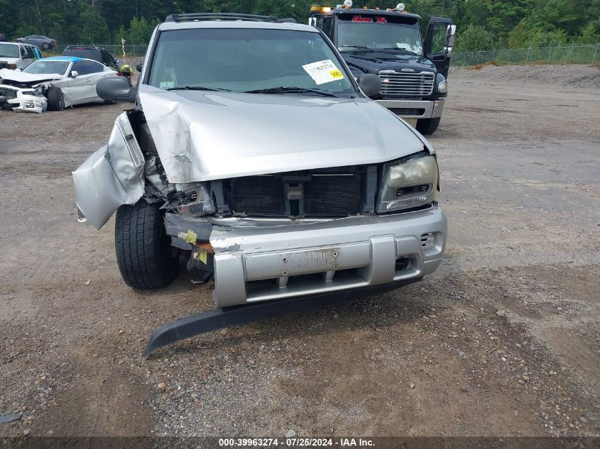 2004 Chevrolet Trailblazer Ls VIN: 1GNDT13S442232436 Lot: 39963274