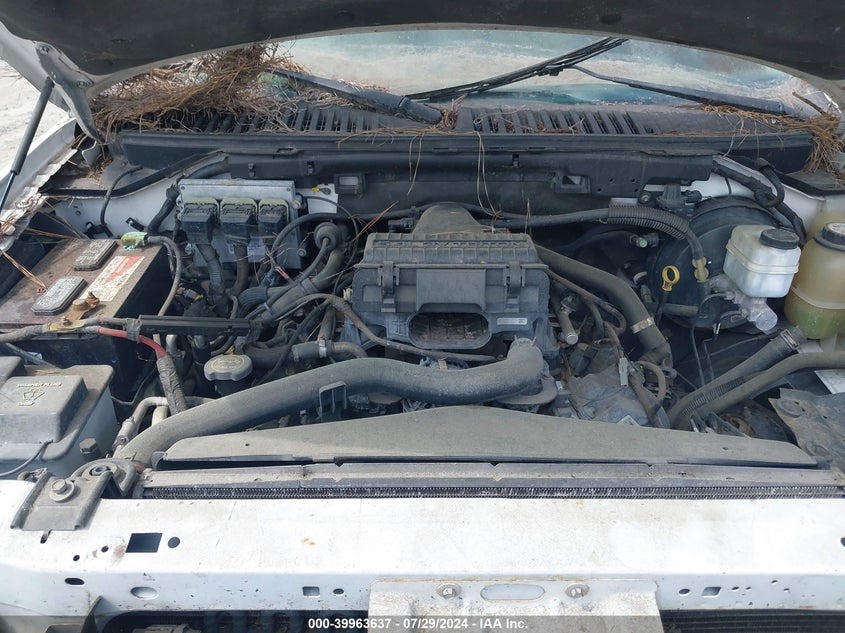 2006 Ford Expedition Eddie Bauer VIN: 1FMPU17566LA02090 Lot: 39963637