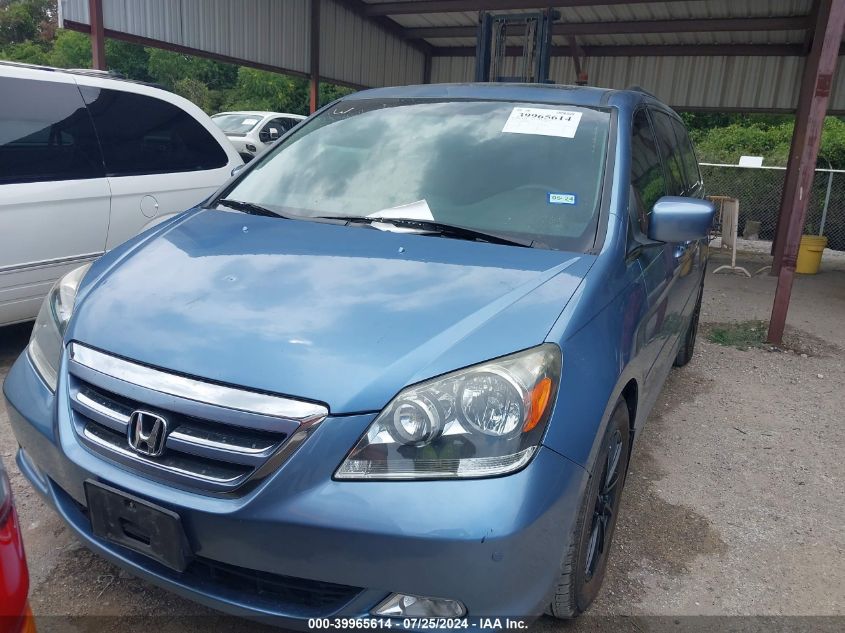 2005 Honda Odyssey Touring VIN: 5FNRL38845B109841 Lot: 39965614