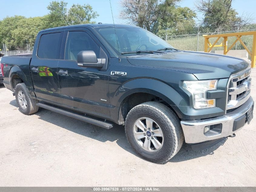 2015 FORD F-150 SUPERCREW - 1FTEW1EG4FFA90677