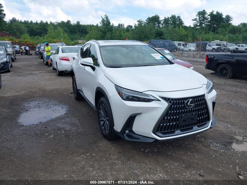 2T2GGCEZ9SC063864 2025 LEXUS NX - Image 1