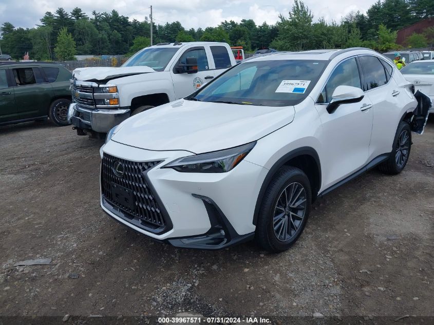 2T2GGCEZ9SC063864 2025 LEXUS NX - Image 2