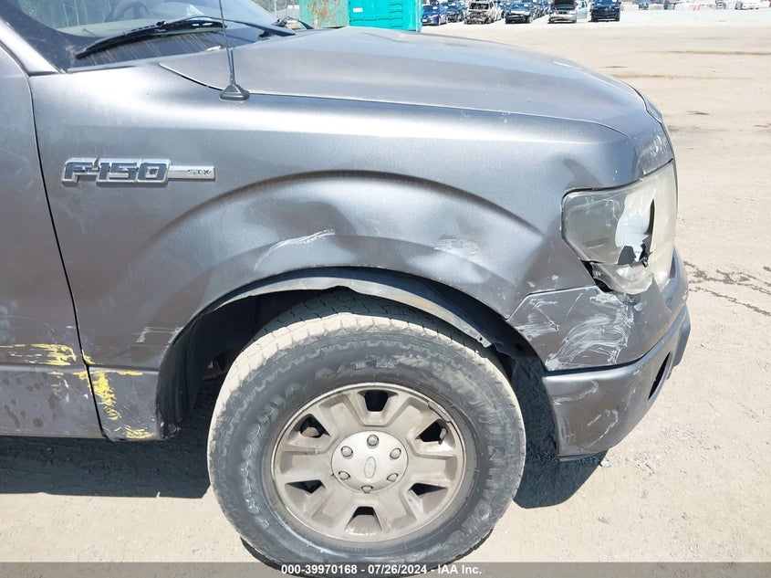 2010 Ford F-150 Stx/Xl/Xlt VIN: 1FTMF1CW1AKB24189 Lot: 39970168