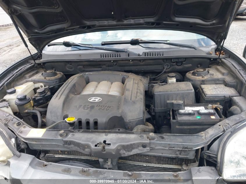 2004 Hyundai Santa Fe Gls VIN: KM8SC73D24U569207 Lot: 39970945