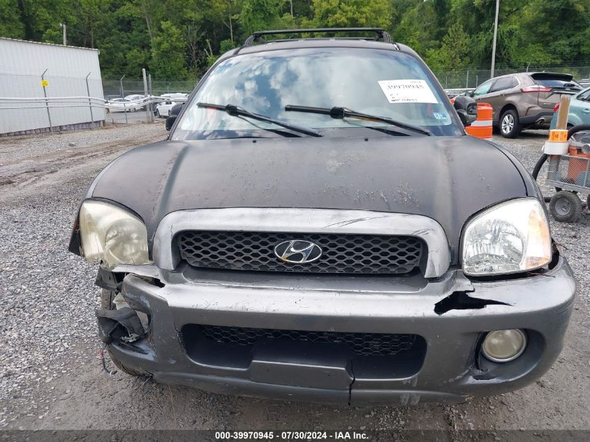 2004 Hyundai Santa Fe Gls VIN: KM8SC73D24U569207 Lot: 39970945