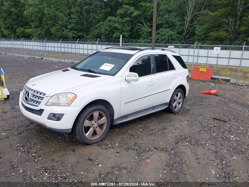 2010 Mercedes-Benz Ml 350 VIN: 4JGBB5GB3AA613874 Lot: 39973261