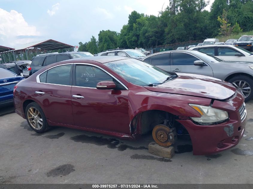 2010 Nissan Maxima 3.5 Sv VIN: 1N4AA5AP6AC844107 Lot: 39975257