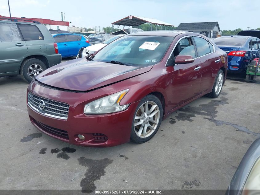 2010 Nissan Maxima 3.5 Sv VIN: 1N4AA5AP6AC844107 Lot: 39975257