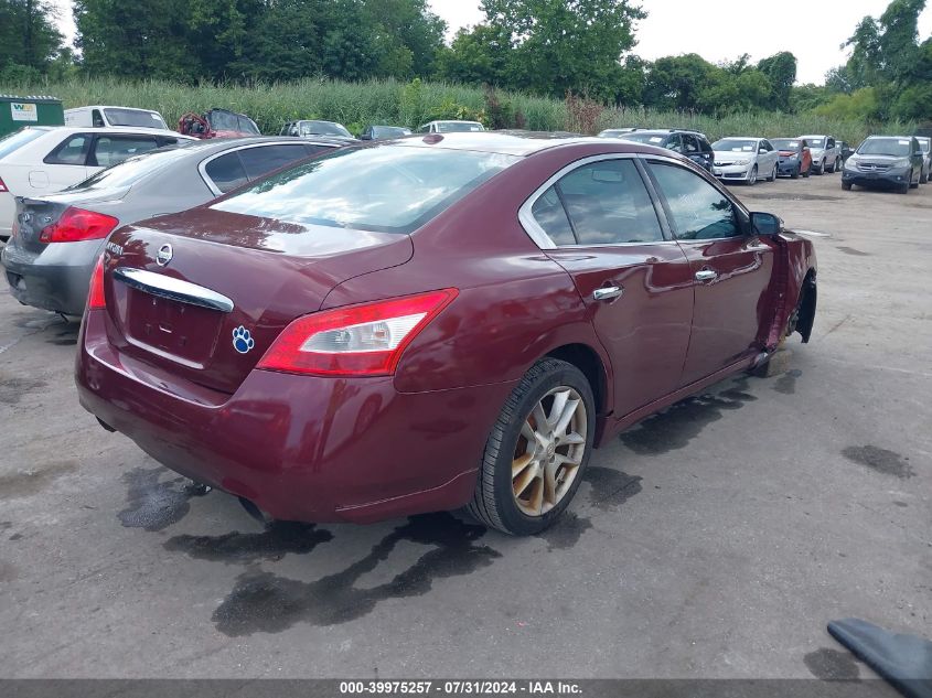 2010 Nissan Maxima 3.5 Sv VIN: 1N4AA5AP6AC844107 Lot: 39975257