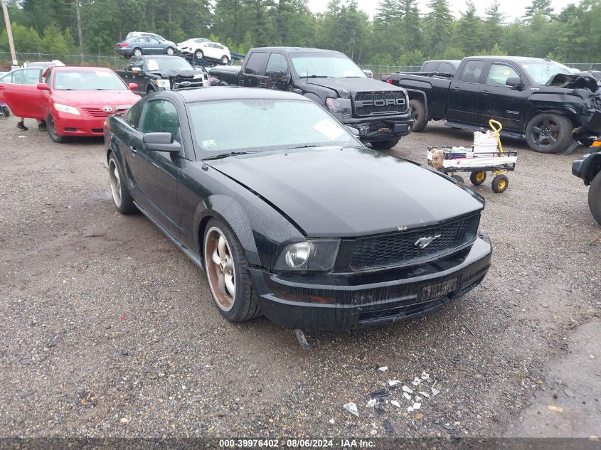 2005 Ford Mustang V6 Deluxe/V6 Premium VIN: 1ZVFT80N855138114 Lot: 39976402