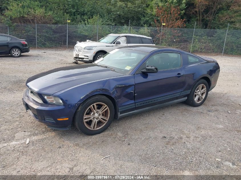 1ZVBP8AM9B5105255 | 2011 FORD MUSTANG