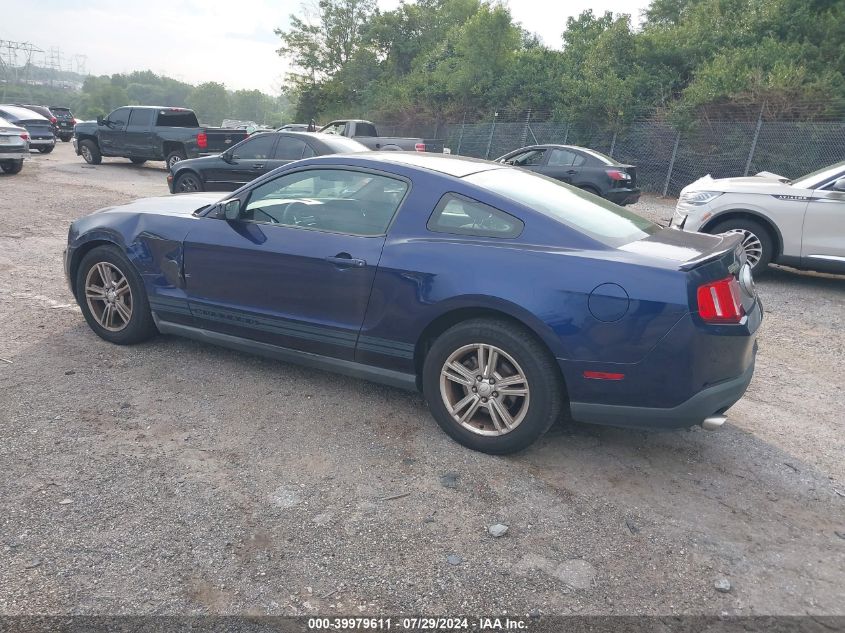 1ZVBP8AM9B5105255 | 2011 FORD MUSTANG