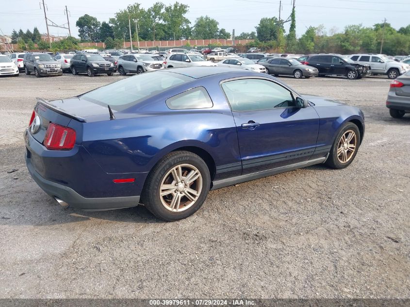 1ZVBP8AM9B5105255 | 2011 FORD MUSTANG