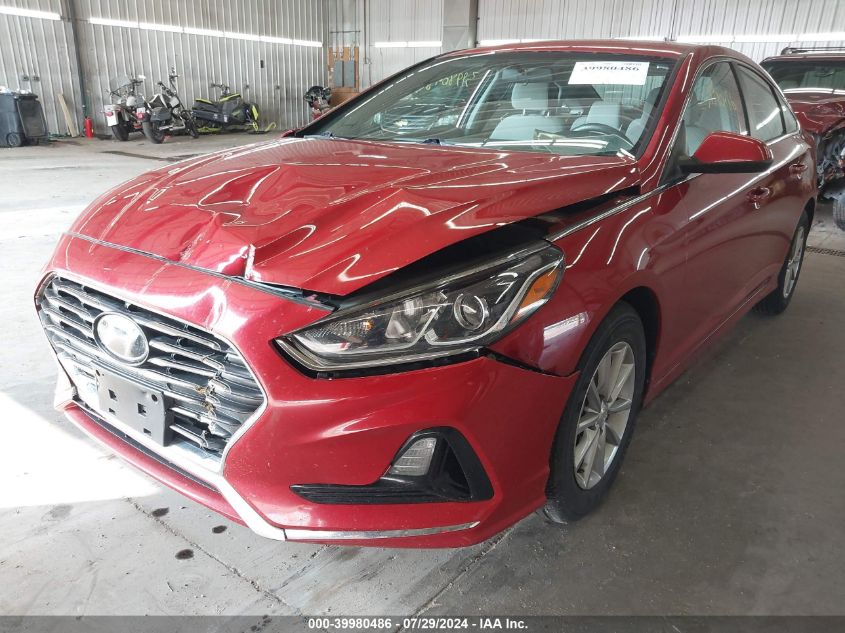 2019 Hyundai Sonata Eco VIN: 5NPE24AAXKH802205 Lot: 39980486