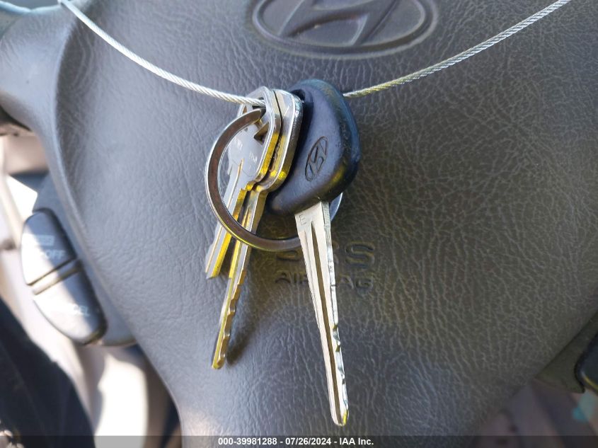 2004 Hyundai Santa Fe Gls VIN: KM8SC13D24U846273 Lot: 39981288