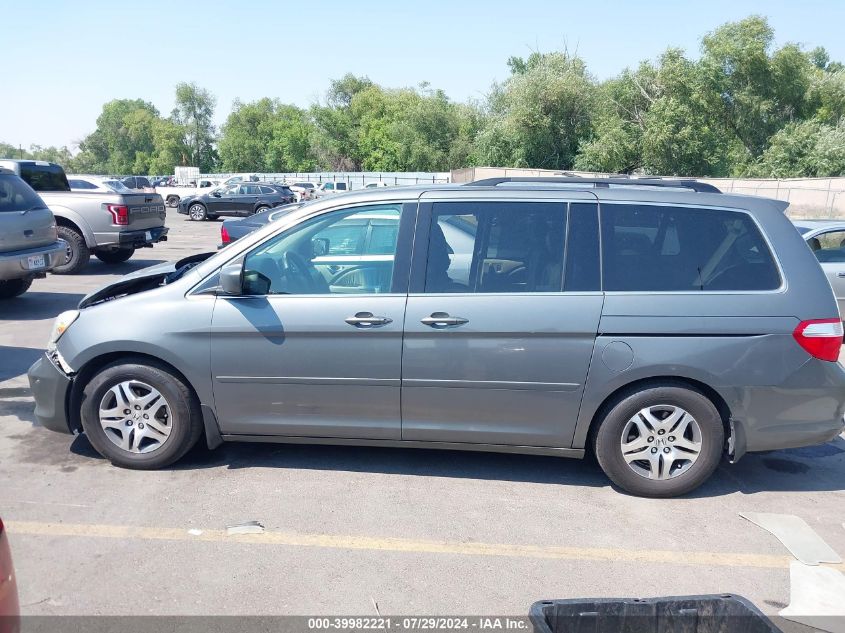 2007 Honda Odyssey Ex-L VIN: 5FNRL38667B411844 Lot: 39982221