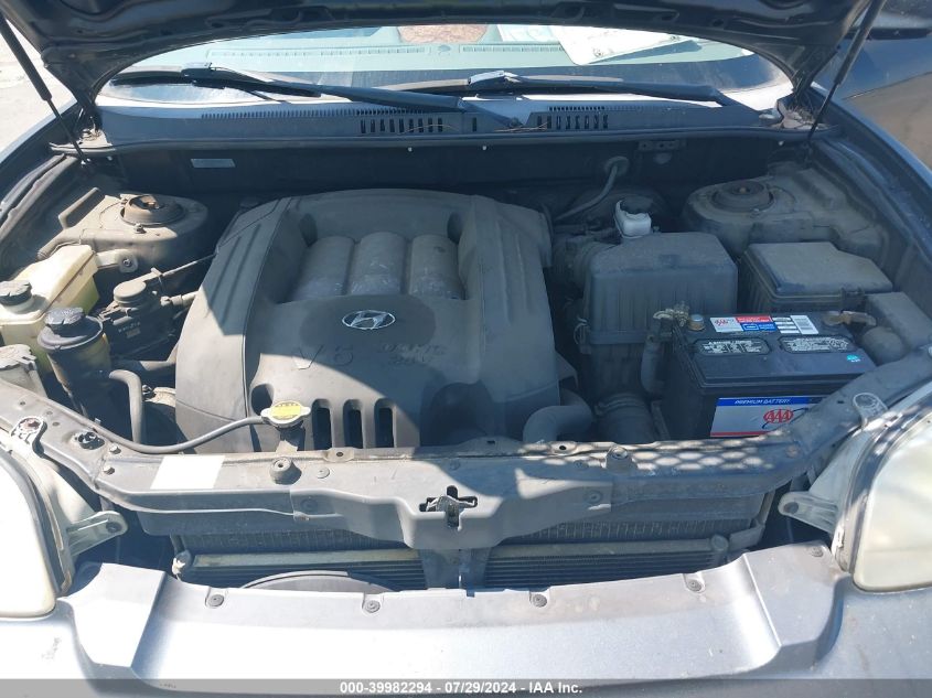 2003 Hyundai Santa Fe Gls/Lx VIN: KM8SC13D03U343274 Lot: 39982294