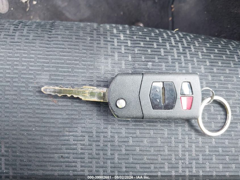 2010 Mazda Mazda3 I Touring VIN: JM1BL1SG3A1141074 Lot: 39982681