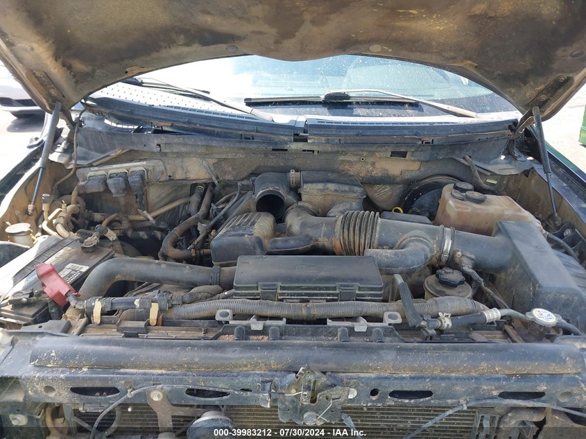 2009 Ford F-150 Fx4 VIN: 1FTPW14VX9KC79144 Lot: 39983212