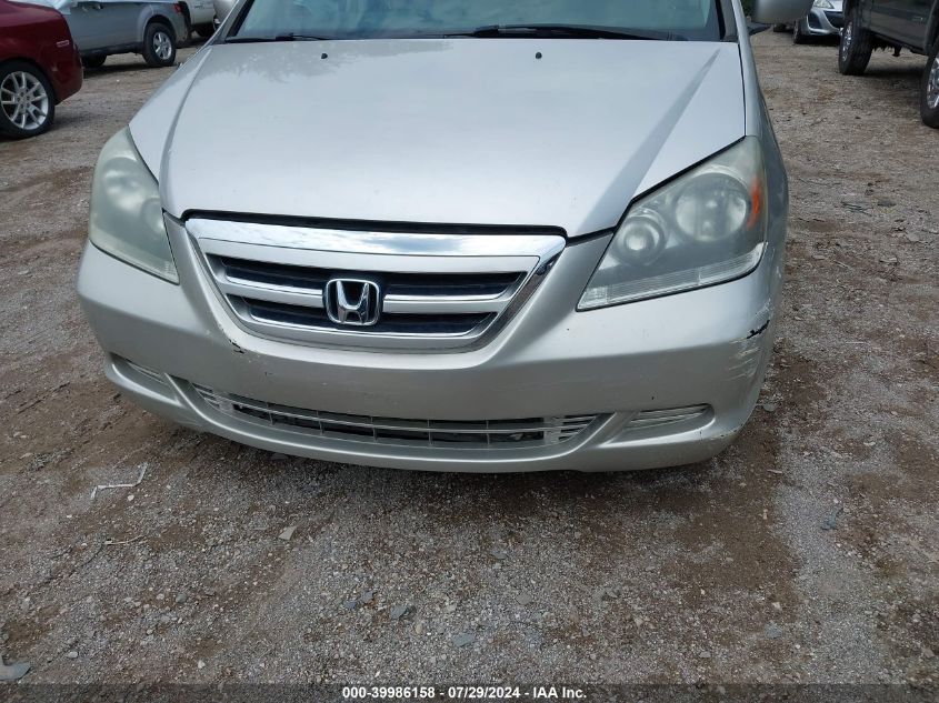 2007 Honda Odyssey Ex-L VIN: 5FNRL38607B423858 Lot: 39986158