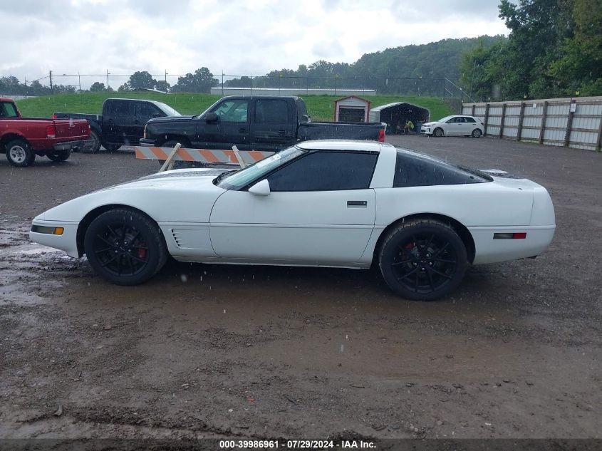 1995 Chevrolet Corvette VIN: 1G1YY22P8S5100542 Lot: 39986961