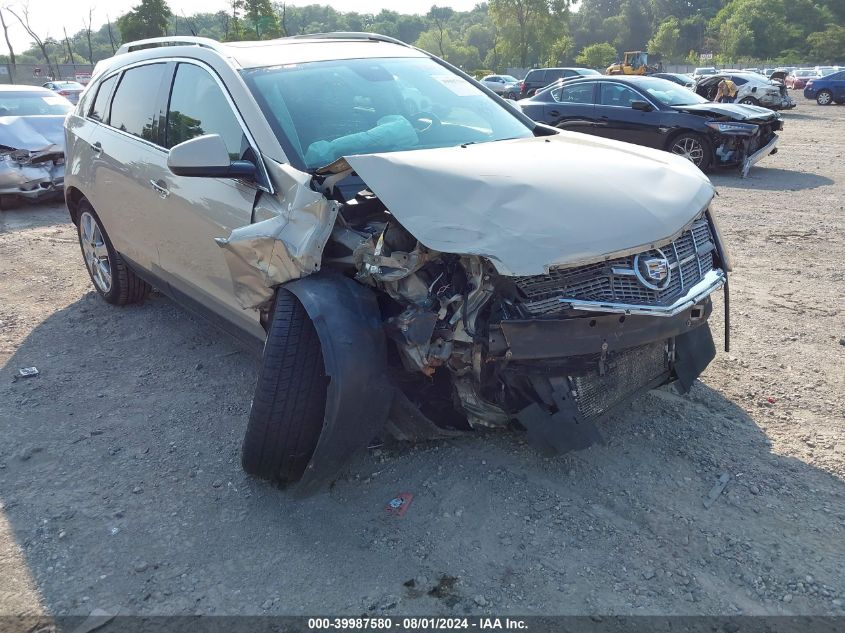 2010 Cadillac Srx Performance Collection VIN: 3GYFNEEYXAS648733 Lot: 39987580