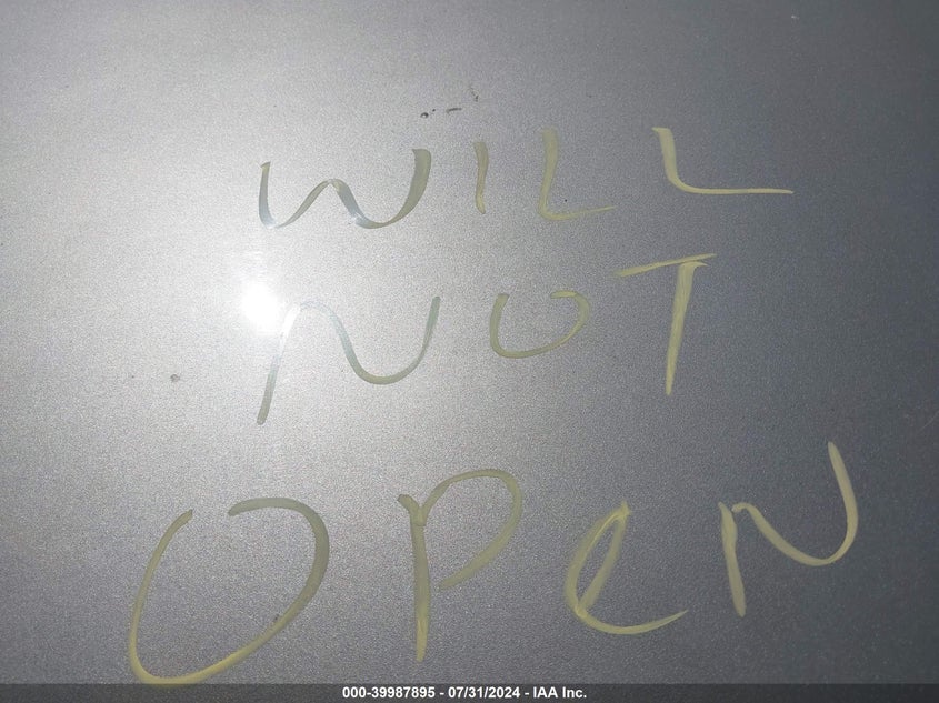 2002 Ford Expedition Eddie Bauer VIN: 1FMPU18L82LA73749 Lot: 39987895