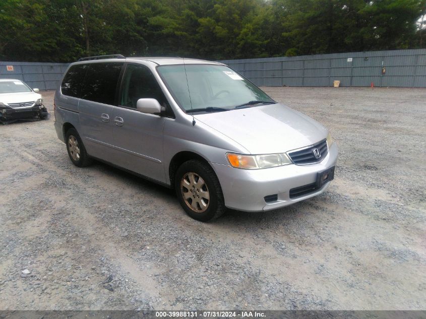 2004 Honda Odyssey Exl VIN: 5FNRL18964B035043 Lot: 39988131