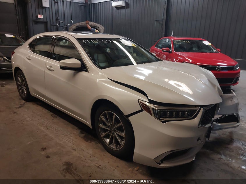 2019 Acura Tlx Standard VIN: 19UUB1F31KA009842 Lot: 39988647