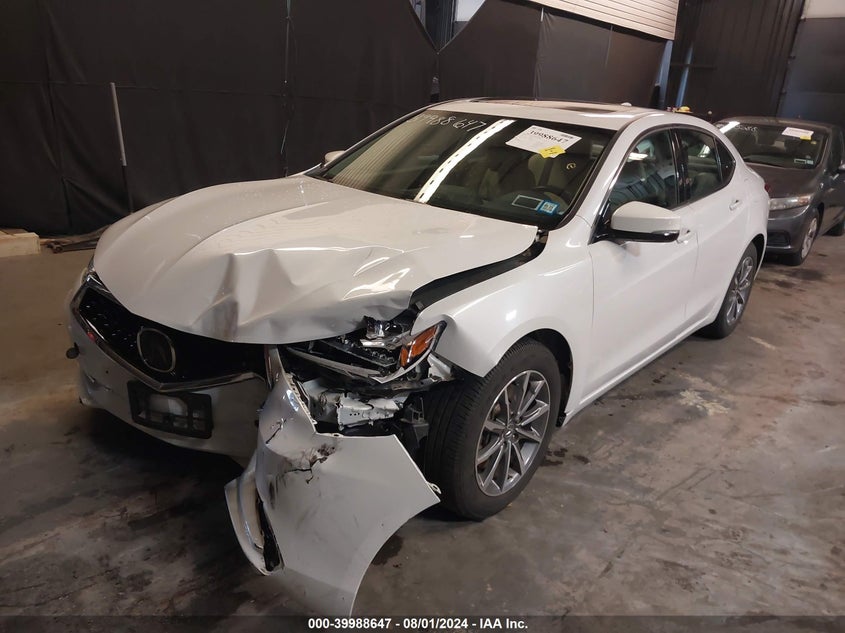2019 Acura Tlx Standard VIN: 19UUB1F31KA009842 Lot: 39988647