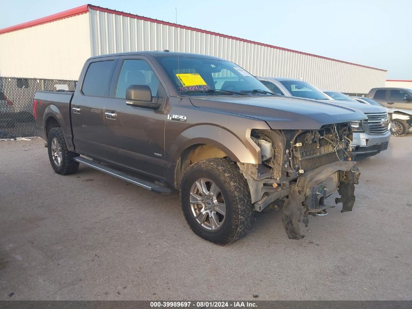 1FTEW1EG9FKE66314 2015 FORD F-150 - Image 1