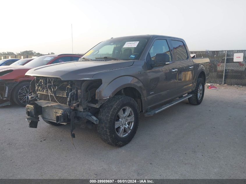 2015 FORD F-150 XLT - 1FTEW1EG9FKE66314