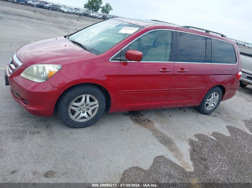 2005 Honda Odyssey Ex-L VIN: 5FNRL38695B406926 Lot: 39990217