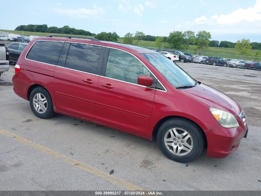 2005 Honda Odyssey Ex-L VIN: 5FNRL38695B406926 Lot: 39990217