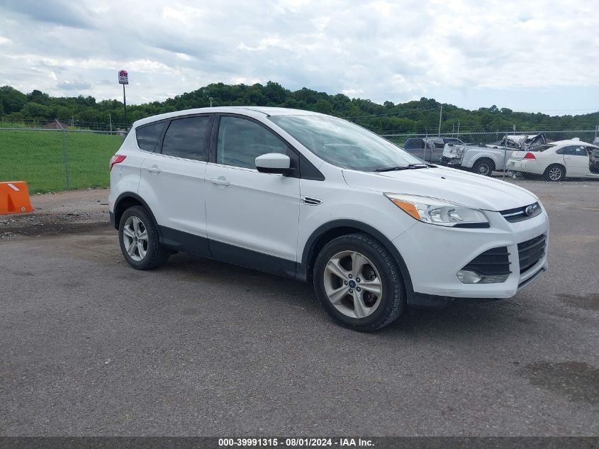 2014 Ford Escape Se VIN: 1FMCU0GX1EUB98474 Lot: 39991315