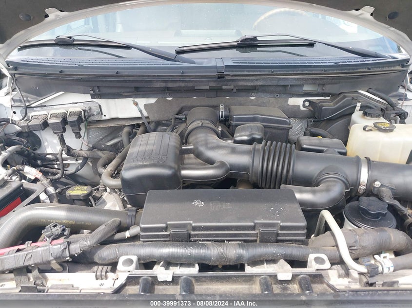 2010 Ford F-150 Fx4/Harley-Davidson/King Ranch/Lariat/Platinum/Xl/Xlt VIN: 1FTFW1EV1AFB21752 Lot: 39991373