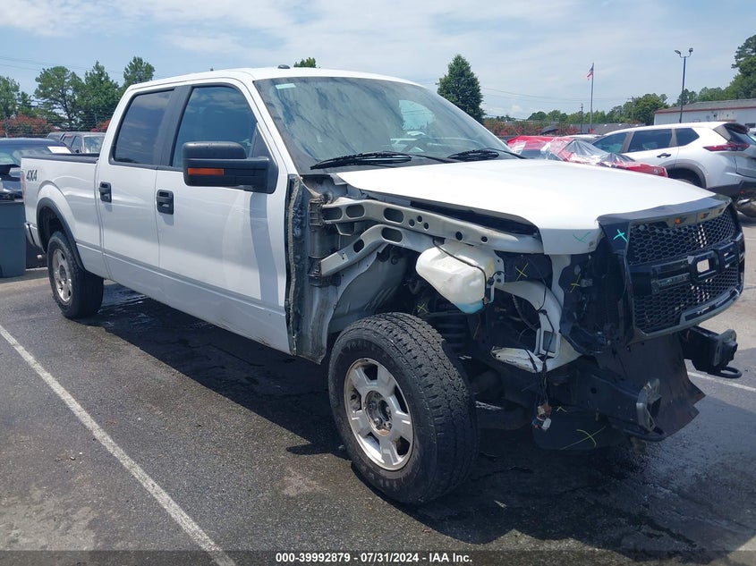 2013 Ford F-150 Xlt VIN: 1FTFW1EF3DFB02858 Lot: 39992879