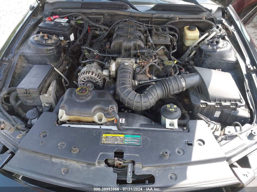 2008 Ford Mustang V6 Deluxe/V6 Premium VIN: 1ZVHT80N785167522 Lot: 39993566