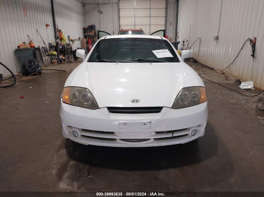 2003 Hyundai Tiburon Gt V6 VIN: KMHHN65F73U029217 Lot: 39993635