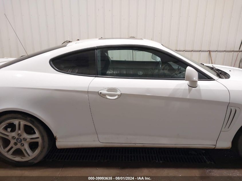 2003 Hyundai Tiburon Gt V6 VIN: KMHHN65F73U029217 Lot: 39993635