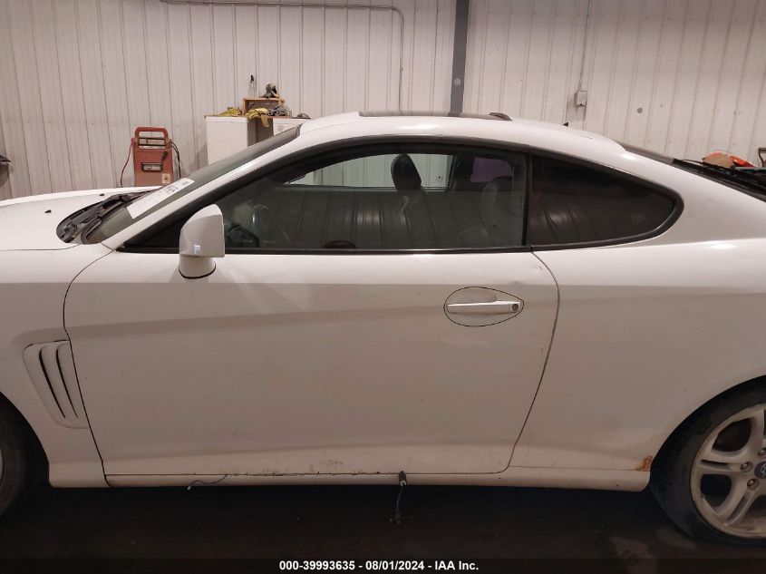 2003 Hyundai Tiburon Gt V6 VIN: KMHHN65F73U029217 Lot: 39993635