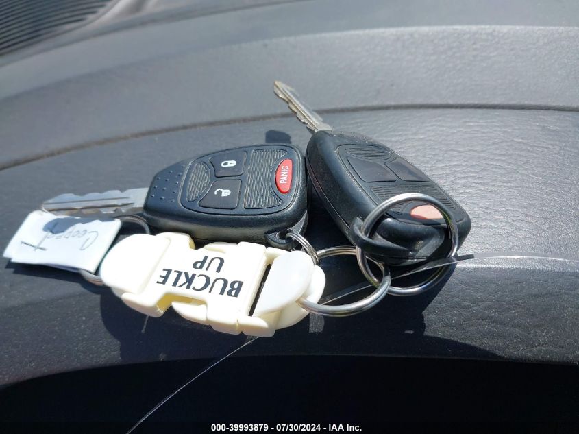 2004 Chrysler Town & Country VIN: 1C4GP45R54B539796 Lot: 39993879